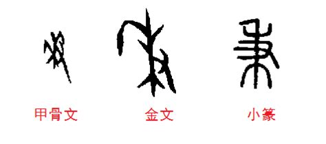 秉名字意思|秉:字源解說,詳細解釋,古籍解釋,說文解字,說文解字注,。